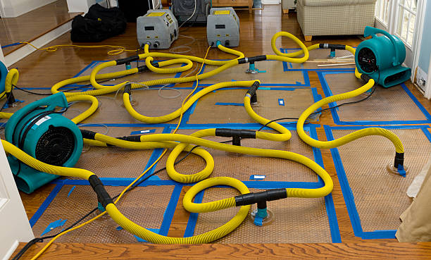 Professional Burst Pipe Water Damage technician working in Bellevue, IL